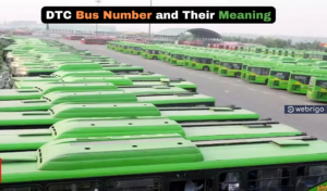 Understanding DTC Bus Numbers and What They Mean 